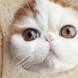 厦门安宝医院做三代试管成功率如何？一文读懂需要花多少钱