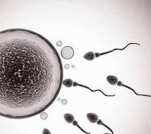 沈阳三代试管哪家医院好？